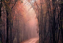 32支队伍、128名选手，“羽”职工一起拥抱春天.