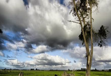 2025赛季武汉三镇足球俱乐部主场票务销售通道即将开启.