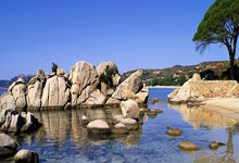 2024每一步都铿锵有力！2025继续携手前行！全运见！广州见！全运广州.